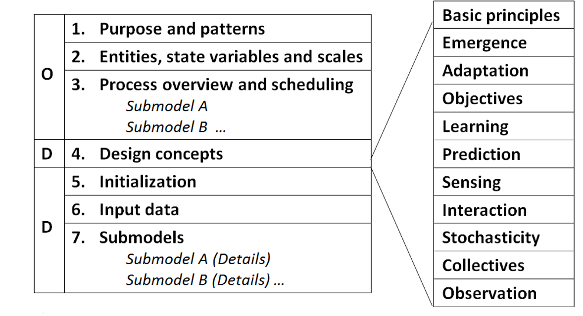 The Odd Protocol For Describing Agent Based And Other Simulation Models